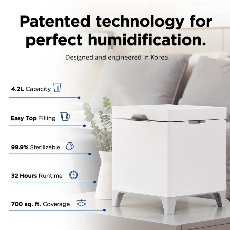 Esvitae Portable Humidifier