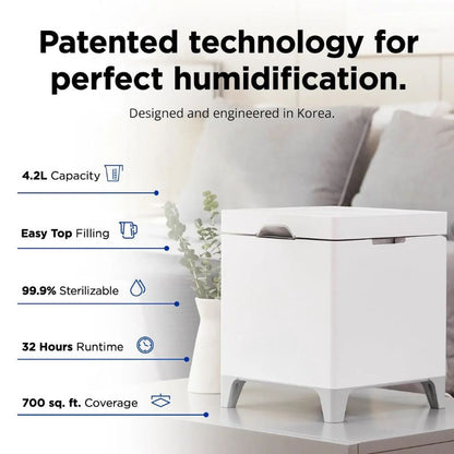 Esvitae Portable Humidifier