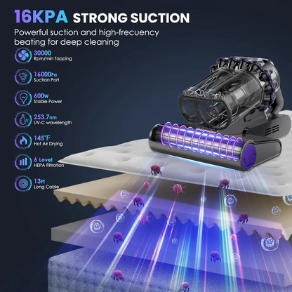 Esvitae Vacuum Cleaner